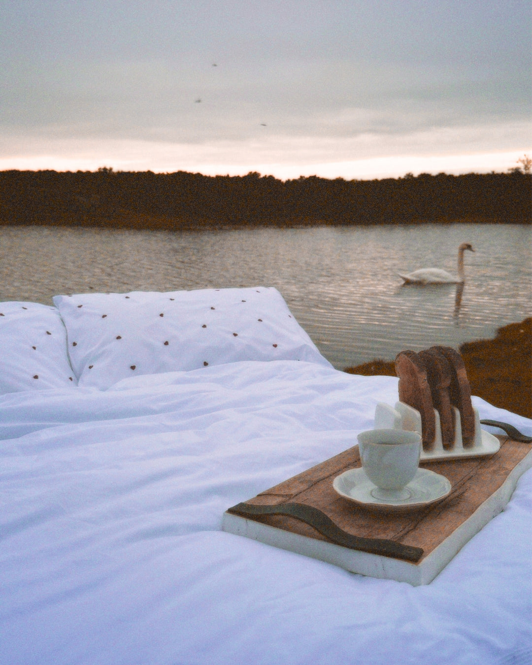 Sweetheart Organic Cotton Pillowcase Pair