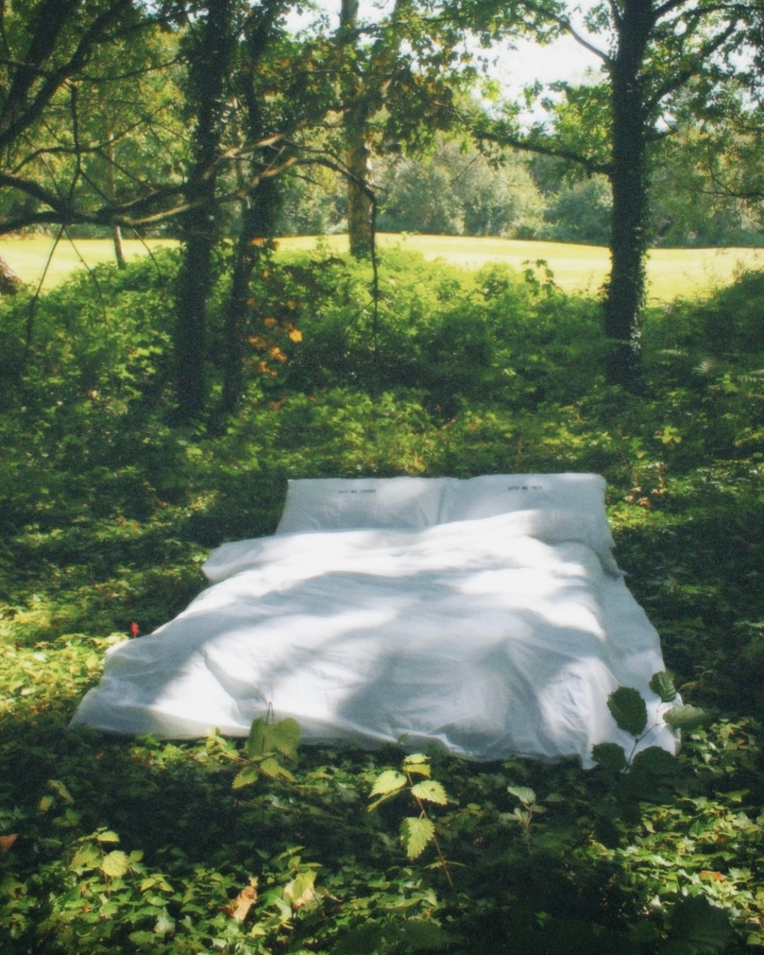 Tender Pillowcase Pair - Black