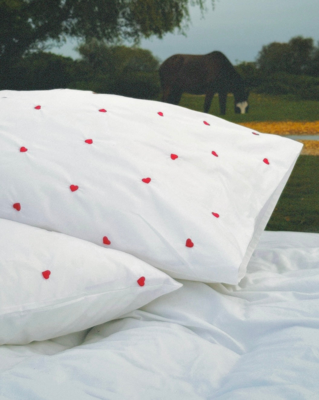 Sweetheart Organic Cotton Pillowcase Pair
